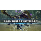 《怪物猎人崛起》麻痹双刀怎么玩？曙光麻痹双刀配装推荐