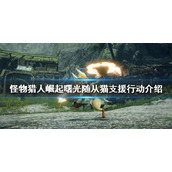 《怪物猎人崛起》支援行动有哪些？曙光随从猫支援行动介绍