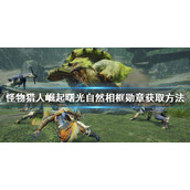 《怪物猎人崛起》自然相框勋章如何获得？曙光自然相框勋章获取方法