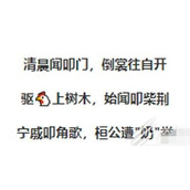 叩是什么梗