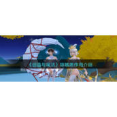 《创造与魔法》琼娥愿作用介绍