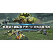 《怪物猎人崛起》双刀百龙珠如何选择？曙光双刀百龙珠选择推荐