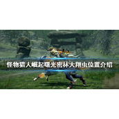 《怪物猎人崛起》密林大翔虫在哪？曙光密林大翔虫位置介绍