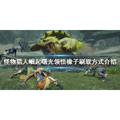 《怪物猎人崛起》领悟橡子怎么刷？曙光领悟橡子刷取方式介绍
