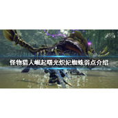 《怪物猎人崛起》炽妃蜘蛛怎么打？曙光炽妃蜘蛛弱点介绍