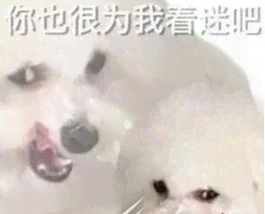 QQ截图20220718115423.jpg