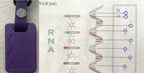 《恋与制作人》救世主计划许墨答案分享2022