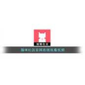 猫咪社区官网在线观看视频