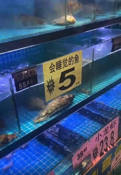 QQ截图20220721132120.jpg
