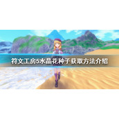 《符文工房5》水晶花种子如何获得？水晶花种子获取方法介绍