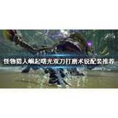 《怪物猎人崛起》双刀如何配装？曙光双刀打磨术锐配装推荐