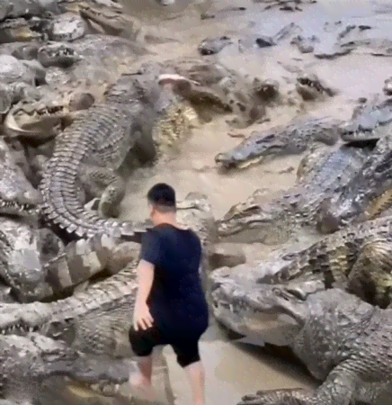 你这背景太假了表情包