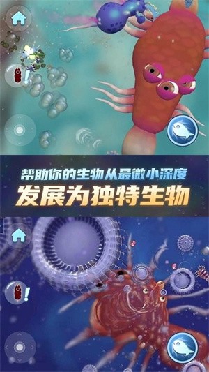 物种进化器游戏下载