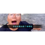 你这背景太假了表情包