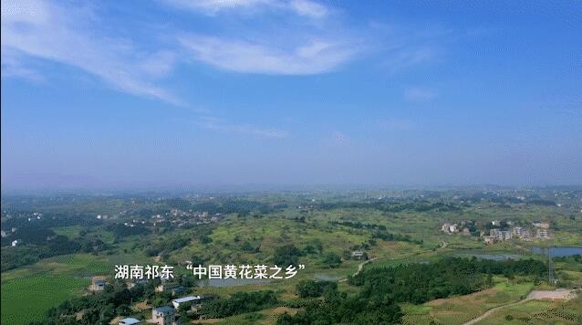 蚂蚁新村7月29日：“祁东黄花菜”是国家地理标志保护产品吗？
