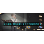 《哈利波特：魔法觉醒》发色记忆功能作用介绍