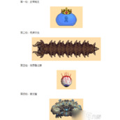 《泰拉瑞亚》灾厄boss顺序是什么？