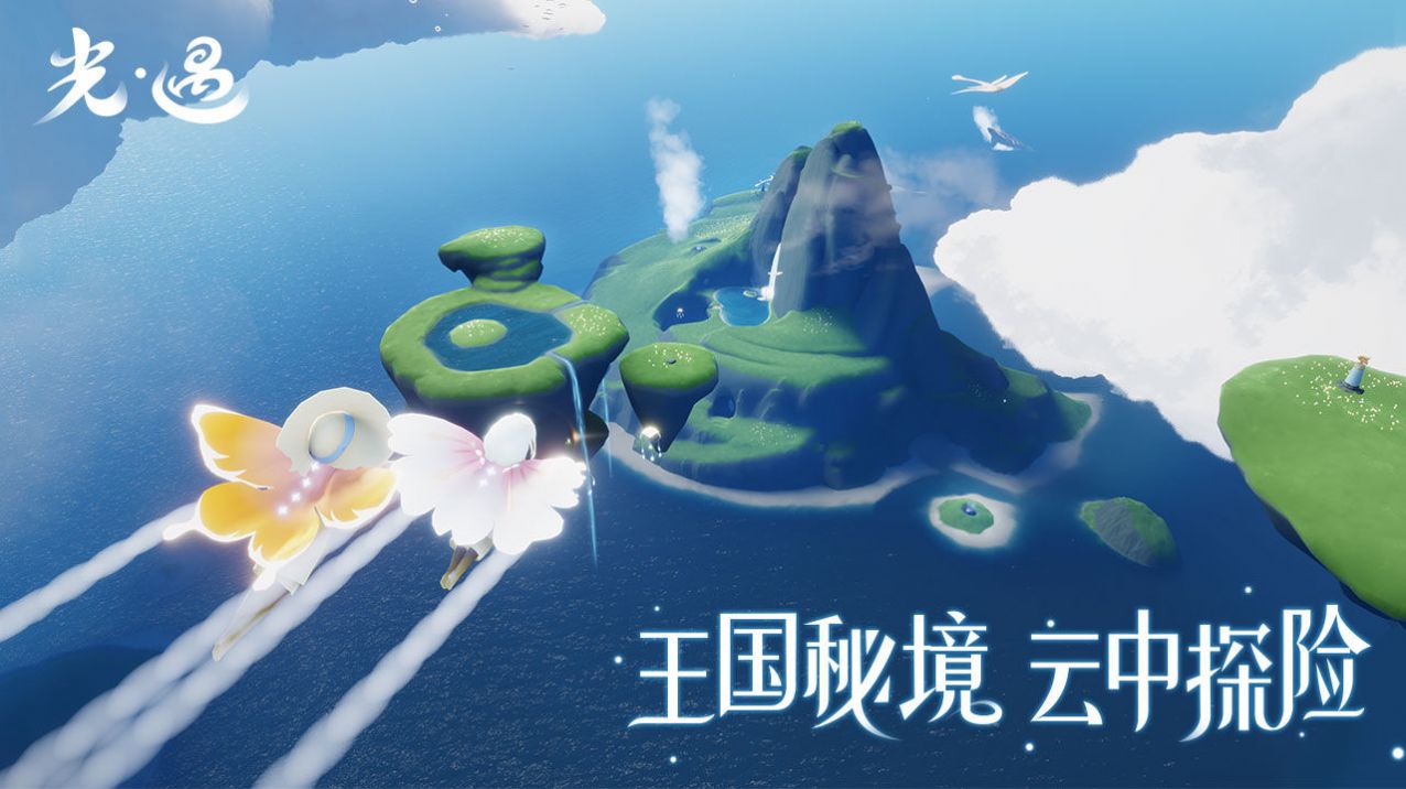sky白鸟版空巢安装包