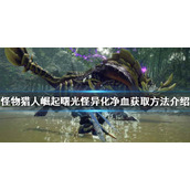 《怪物猎人崛起》怪异化净血如何获得？曙光怪异化净血获取方法介绍