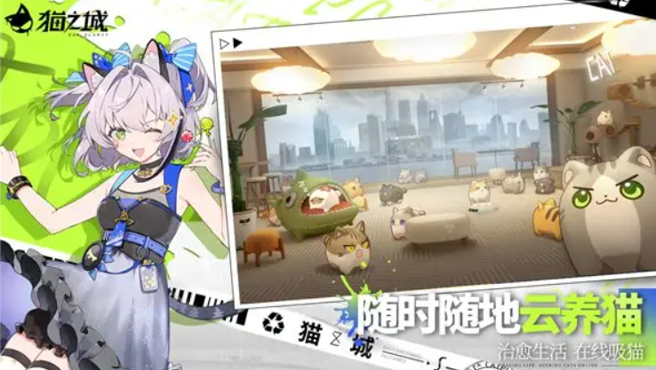 《猫之城》英雄憧憬阵容最新搭配
