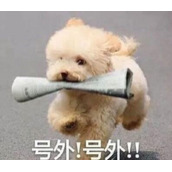 细狗是什么梗
