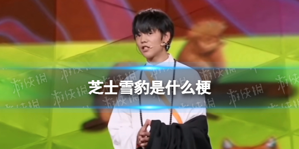 芝士雪豹是什么梗