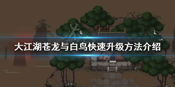 本站