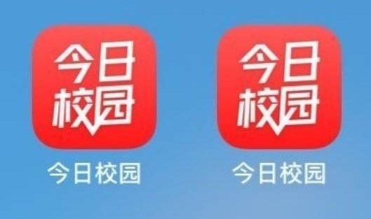 今日校园的学工号是什么号？