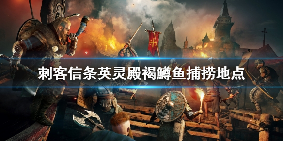 《刺客信条英灵殿》褐鱒鱼去哪抓？褐鱒鱼捕捞地点