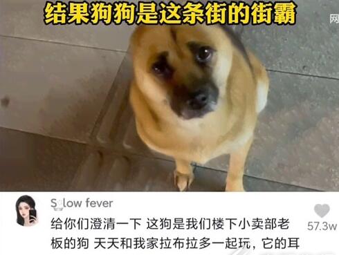 QQ截图20220822105810.jpg