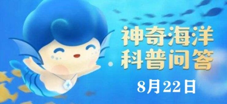神奇海洋今日答案8.22：听说水母身上95%以上都是水，这是真的吗