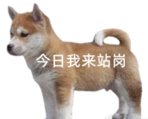 QQ截图20220826105848.jpg