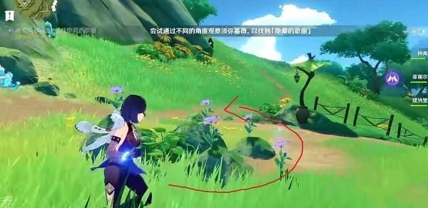 《原神》观察须弥蔷薇寻找隐藏的歌曲任务完成攻略