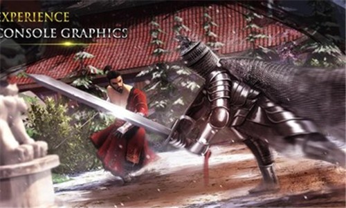 忍者武士隆正版