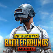 PUBG M(安装