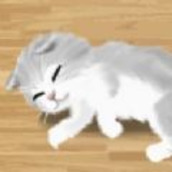 治愈的猫育成手机版