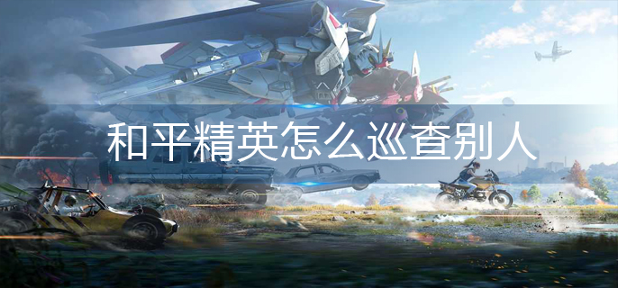 和平精英怎么巡查别人