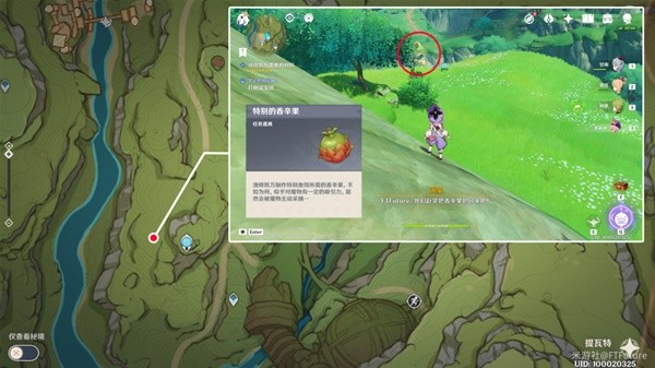 本站