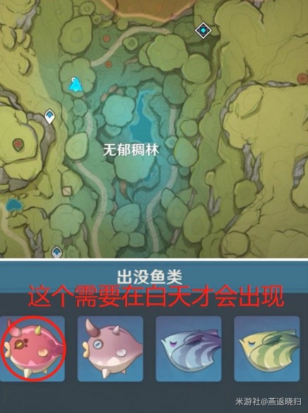 本站