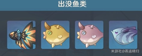 本站