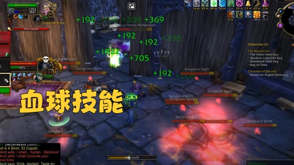 本站