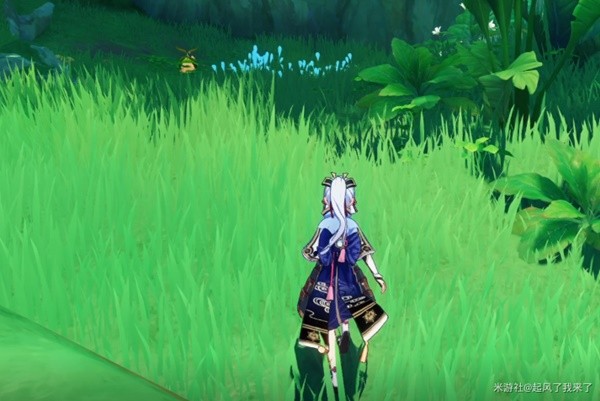 本站