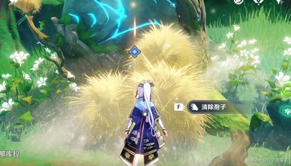 本站