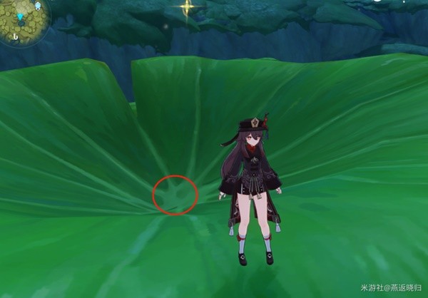 本站