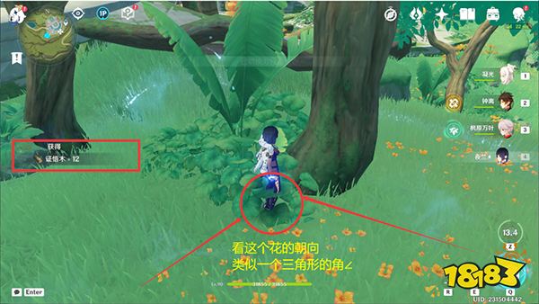 《原神》王树的瑞佑最佳使用点位 辉木业果木证悟木循环砍伐点位