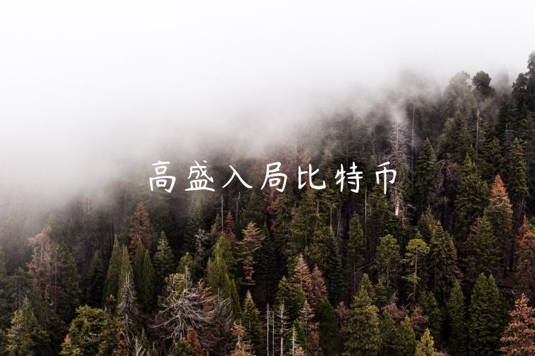 高盛入局比特币