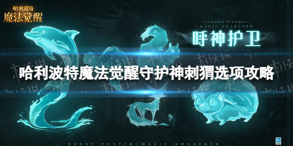 《哈利波特魔法觉醒》守护神刺猬怎么获得-守护神刺猬选项策略