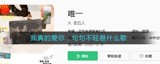 我真的爱你句句不轻易什么歌