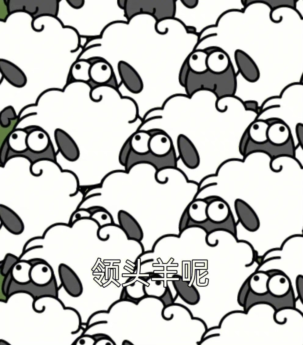 imwprobot-2df518e1a04a62185cc5c7e3d3b0e8b5.jpg