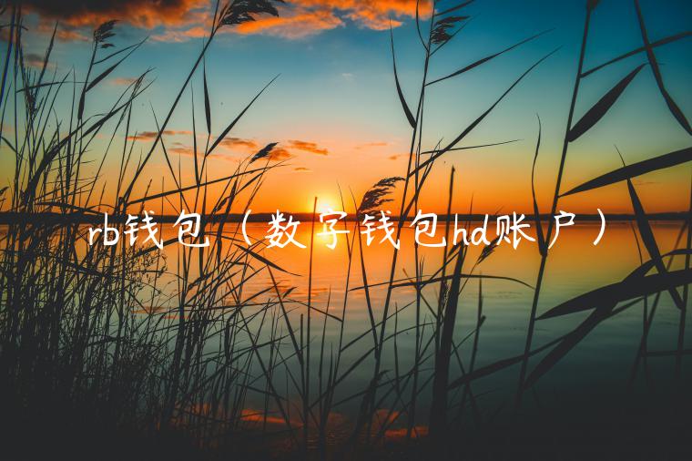 rb钱包（数字钱包hd账户）